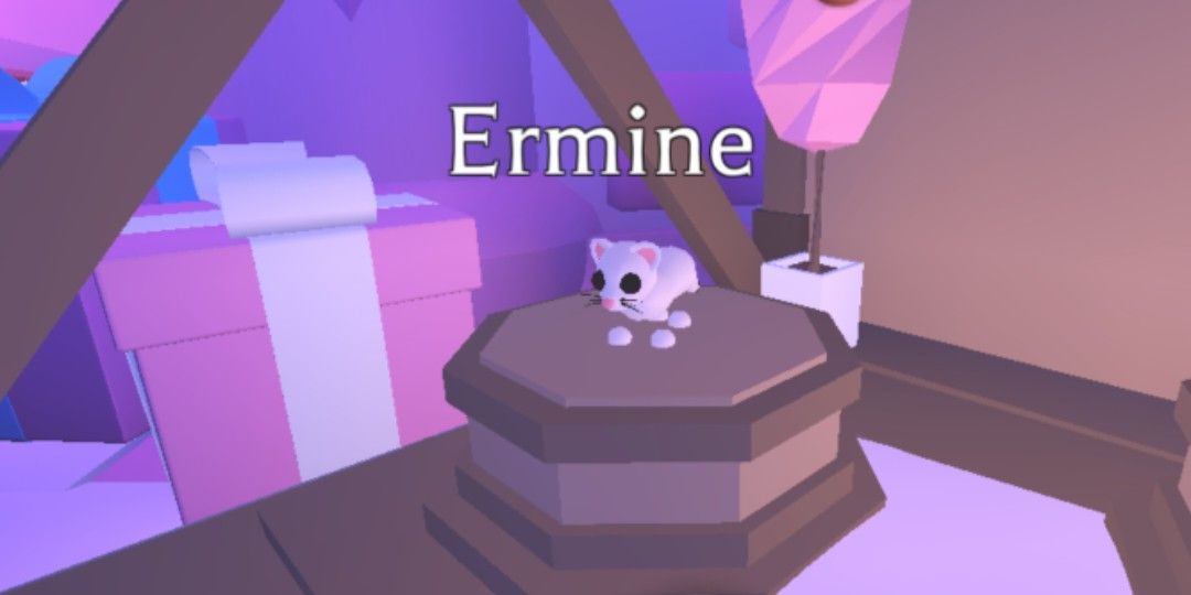 Ice Ermine Pet Names